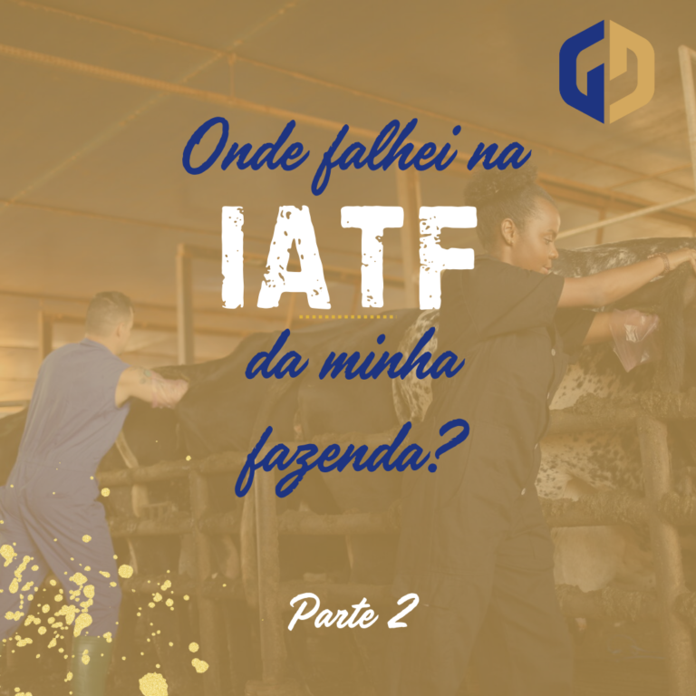 A análise das vacas ECC é fundamental para garantir o sucesso dos protocolos de IATF numa fazenda. Conheça as dicas para o processo ideal!